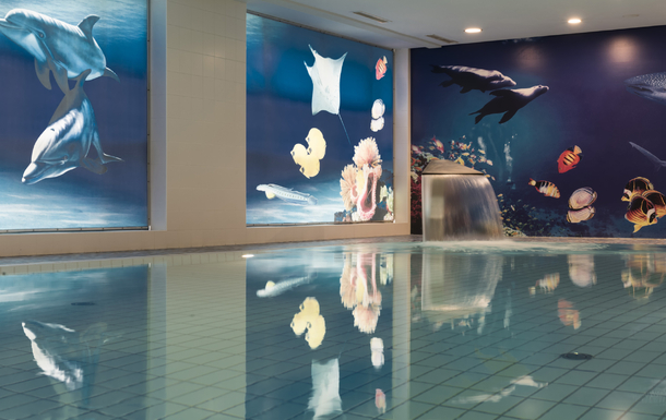 Maritim Hotel proArte Berlin Schwimmbad