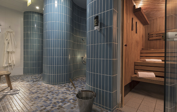 Maritim Hotel proArte Spa