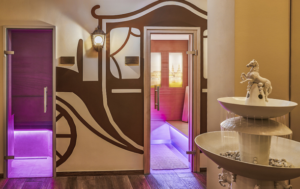 Wellness Infrared Cabin_Steambath